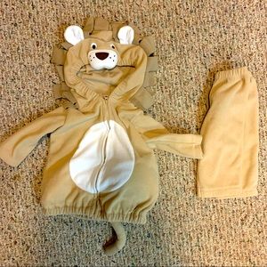 Fleece Lion costume